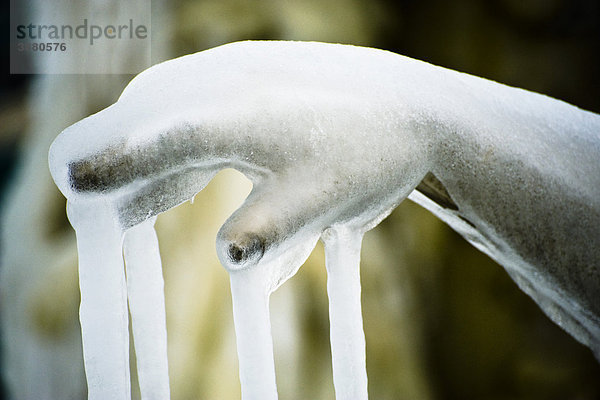 Marmor Hand der Statue mit Eis verkrustet