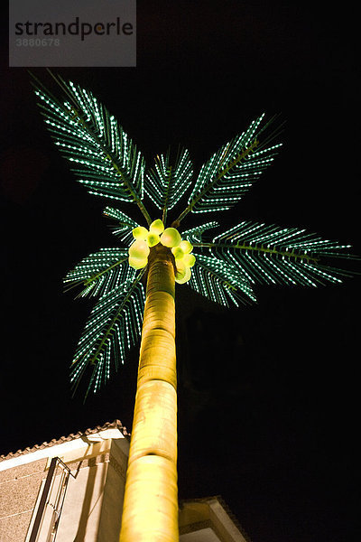 Beleuchtete künstliche Palme bei Nacht