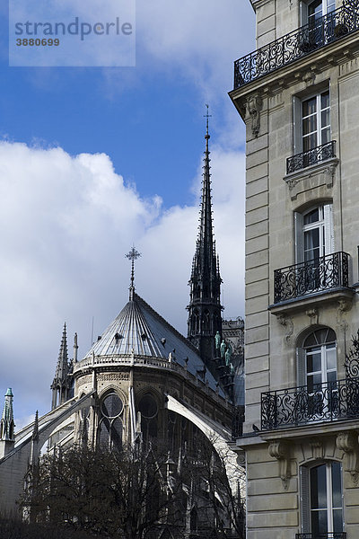 Kathedrale Notre Dame  Paris  Frankreich