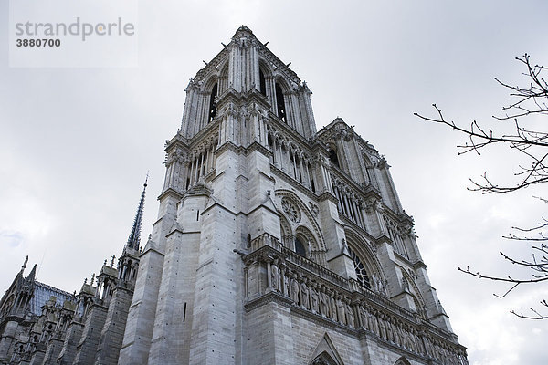 Kathedrale Notre Dame  Paris  Frankreich