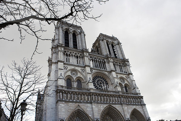 Kathedrale Notre Dame  Paris  Frankreich