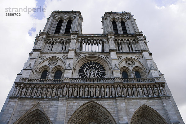 Kathedrale Notre Dame  Paris  Frankreich