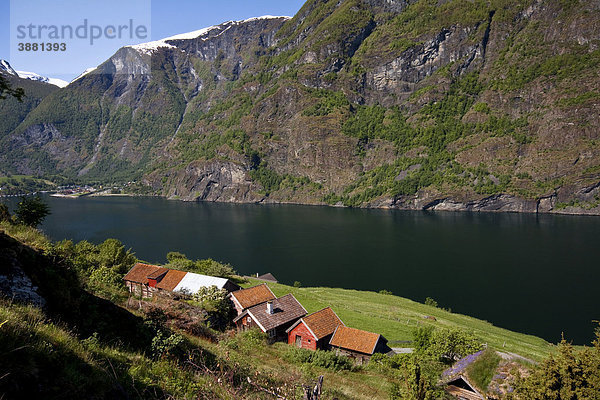 Ausblick auf die alte Bauernhofsiedlung Otternes-Bauerndorf auf den Aurlandsfjord  Norwegen  Skandinavien  Europa
