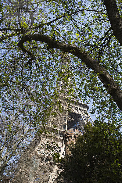 Eiffelturm  Paris  Frankreich  flacher Blick durch die Blätter des Baumes