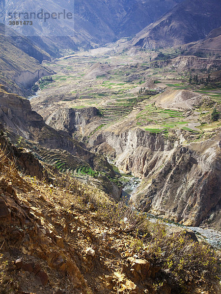 Peruanische Landschaft die zum Colca Canyon hochführt  Peru  Südamerika