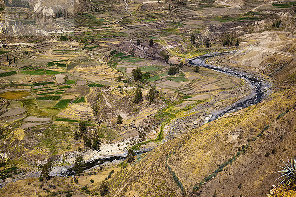 Das Colca Tal und der Fluss Colca  in der Nähe vom Colca Canyon  Peru  Südamerika