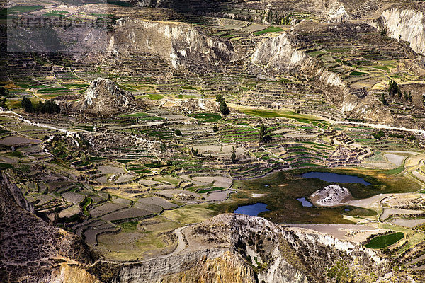 Das Colca Tal in der Nähe vom Colca Canyon  Peru  Südamerika