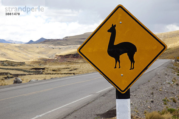 Straßenschild mit einem Lama  Peru  Südamerika