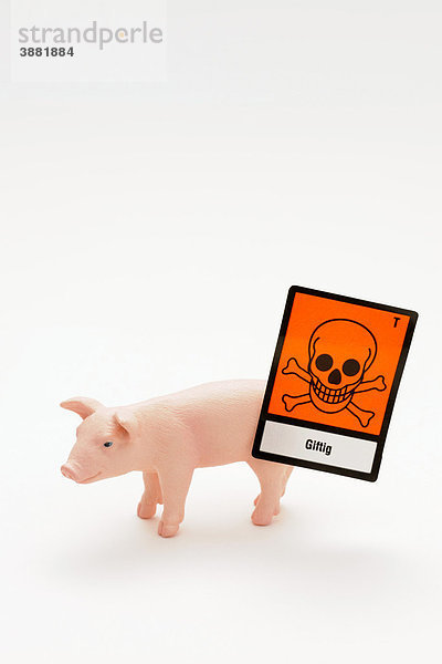 Symbolbild für Genmanipulation an Tieren und Lebensmitteln  Gifteinsatz bei Tieren und Lebensmitteln  Tierseuchen  Fleischskandale
