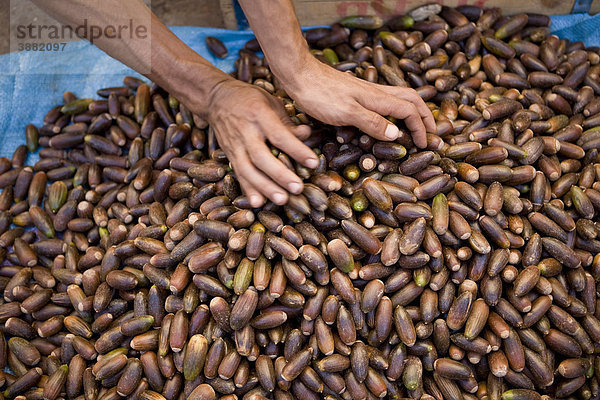 Schwarze Datteln auf dem Markt von Taroudant  Marokko