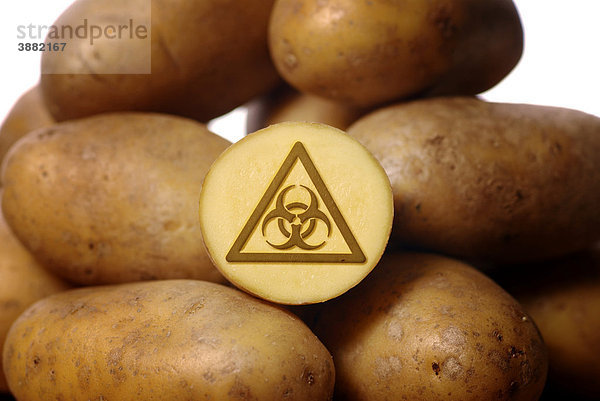 Kartoffeln  Warnzeichen vor Biogefährdung  Symbolbild Genkartoffeln