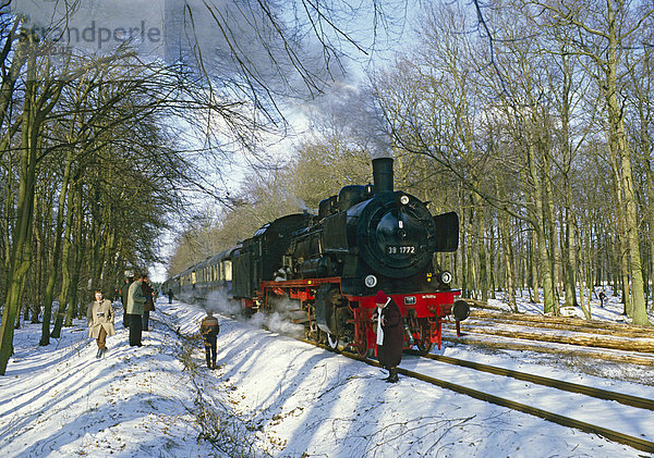Dampfzug Ausflug von Münster mit P8 Klasse Lok Nr. 38 1772 im Wald in der Nähe von Warstein  Nordrhein-Westfalen  Deutschland  Europa