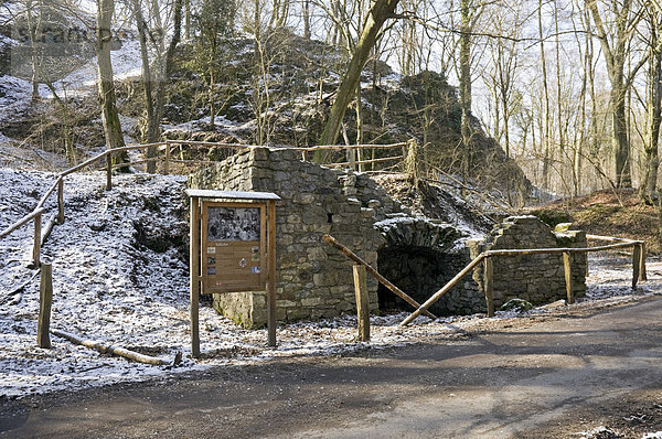 Reste der Kalkbrennerei Kalkofen Huppertsbracken im Neandertal bei Düsseldorf  Nordrhein-Westfalen  Deutschland  Europa