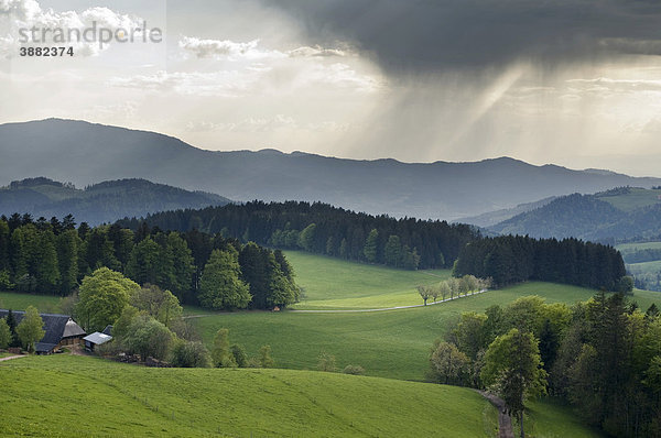 Südschwarzwald in der Nähe von St Märgen  Baden-Württemberg  Deutschland  Europa