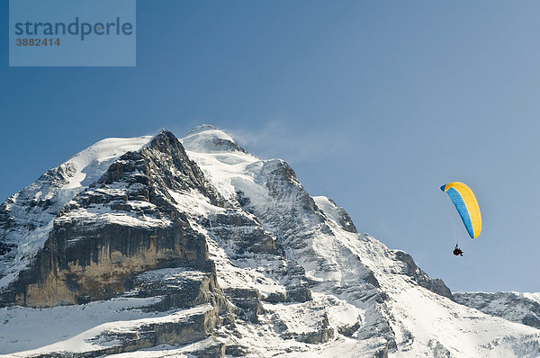 Gleitschirmflieger und Jungfrau  Mürren  Berner Oberland  Schweiz  Europa