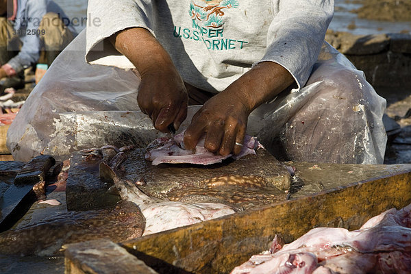 Marokko  Essaouira  Fischzubereitung im Hafen