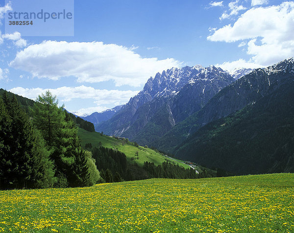 Lienzer Dolomiten  Osttirol  Österreich  Europa