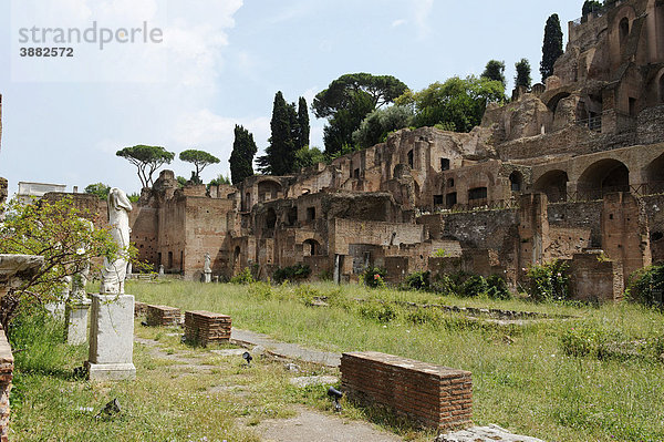 Tempel  Haus der Vestalinnen  Forum Romanum  Rom  Latium  Italien  Europa