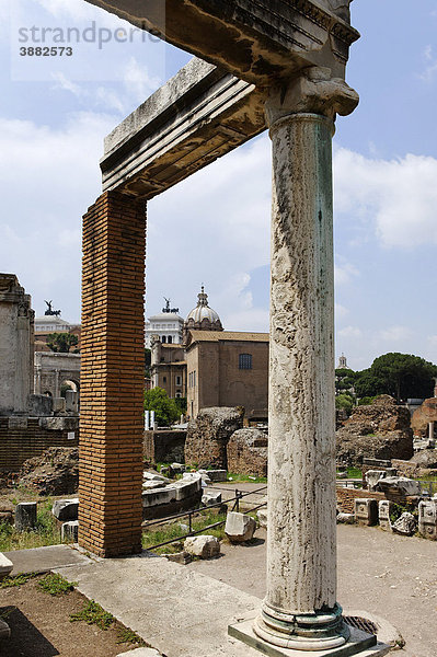 Säulenreste am Haus der Vestalinen  dahinter die Curia  Kurie  Forum Romanum  Rom  Latium  Italien  Europa