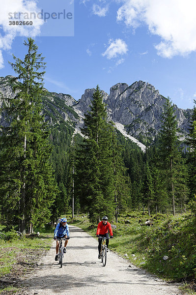 Auf der Rotmoosalm unter den Griesbergen bei Griesen  Loisachtal  Oberbayern  Bayern  Deutschland  Europa