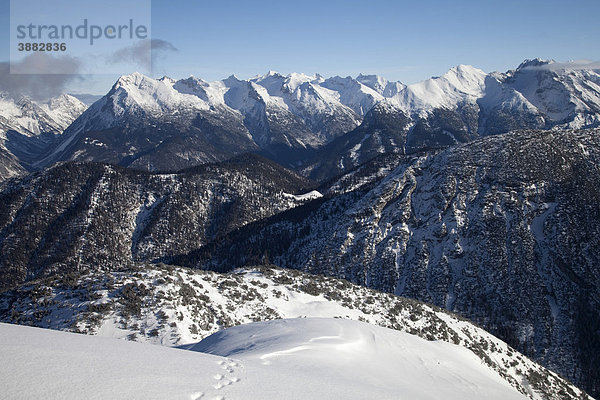 Seefelder Joch  Karwendelgebirge  Tirol  Österreich  Europa