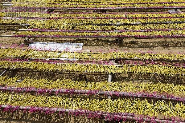 Handwerkliche Herstellung von Weihrauch  Räucherstäbchen am Straßenrand  Vietnam