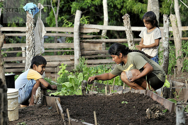 Bäuerin mit Kindern sät Gemüsesamen  Santa Anita de la Frontera  Chiquitania  Departamento Santa Cruz  Bolivien  Südamerika