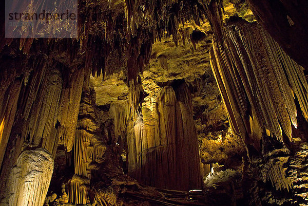 Stalaktiten und Säulen einer Kalksteinhöhle  Luray Caverns  Shenandoah Valley  Virginia  USA