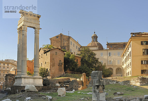 Säulen des Apollotempels  Rom  Latium  Italien  Europa