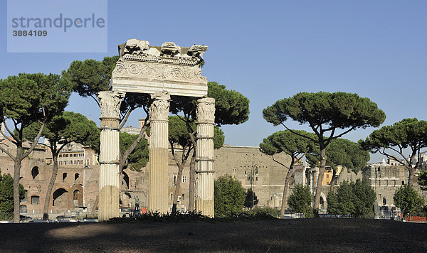 Säulen des Venus Genetrix Tempels auf dem Caesarforum vor dem Trajansforum  Rom  Italien  Europa