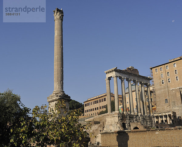 Phokassäule und Säulen des Saturntempels auf dem Forum Romanum  Rom  Italien  Europa