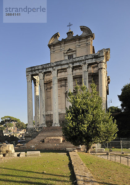 Tempel des Antoninus Pius und der Faustina auf dem Forum Romanum  Rom  Italien  Europa