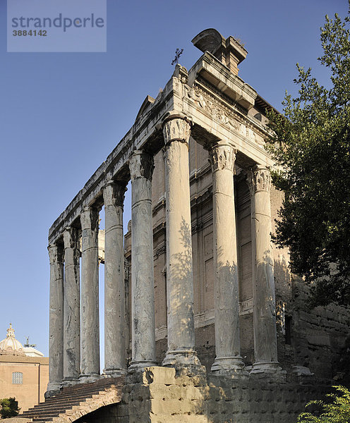 Tempel des Antoninus Pius und der Faustina auf dem Forum Romanum  Rom  Italien  Europa