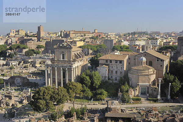 Blick vom Palatin auf das Forum Romanum  Rom  Latium  Italien  Europa