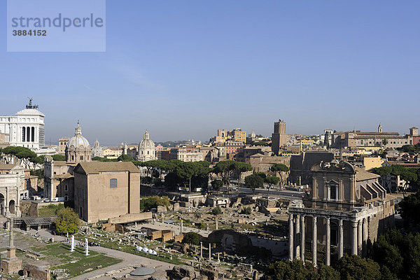 Blick vom Palatin aufs Forum Romanum mit Curia und Tempel des Antoninus Pius und der Faustina  Rom  Latium  Italien  Europa