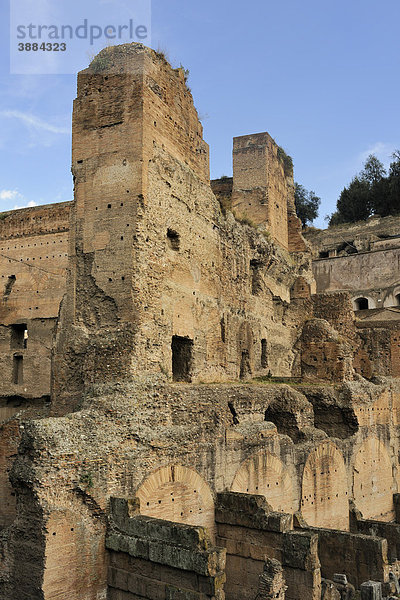 Ruinen am Fuß des Palatin gesehen von der Via di San Teodoro  Rom  Italien  Europa