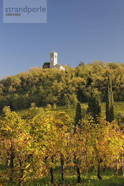 San Giorgio über herbstlichen Weingärten  Cormons  Friaul  Italien  Europa