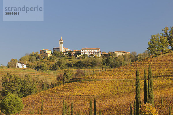 Herbstliche Weinberge und Ort Casali Gallo  Friaul  Italien  Europa