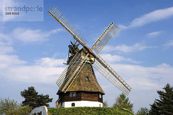 Windmühle im internationalen Wind- und Wassermühlenmuseum  Gifhorn  Niedersachsen  Deutschland  Europa