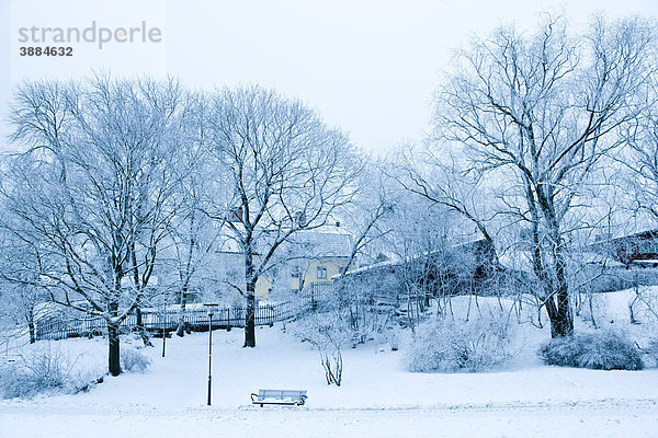 Winterlandschaft  Stockholm  Schweden