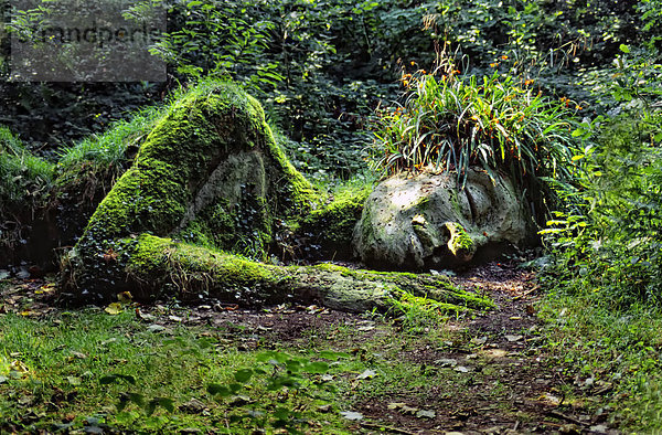 Garten Skulptur  Waldgeist  Heligan  The lost gardens of Heligan  Cornwall  United Kingdom