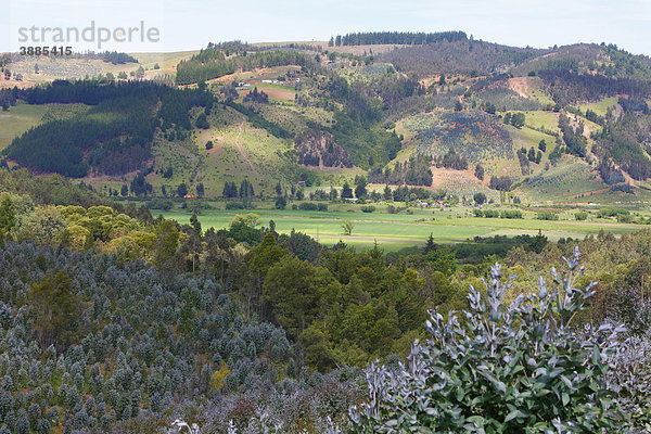 Agrarlandschaft  Mapuche-Land  Agrarlandschaft  Region Bio-Bio  Chile  Südamerika