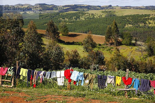 Wäsche zum Trocknen  Mapuche-Land  Agrarlandschaft  Region Bio-Bio  Chile  Südamerika