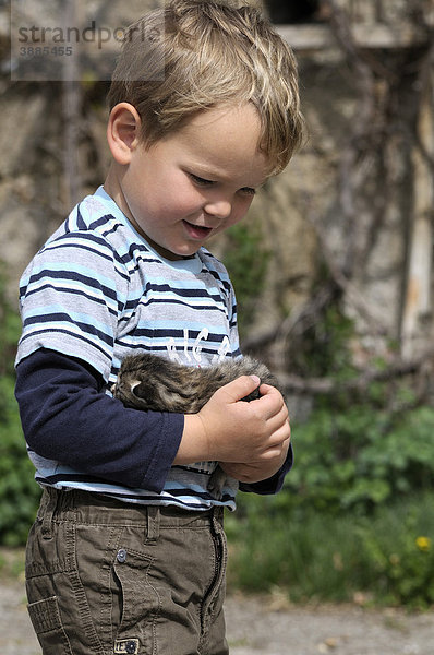 Junge hält eine junge Katze im Arm  Europäisch Kurzhaar-Katze
