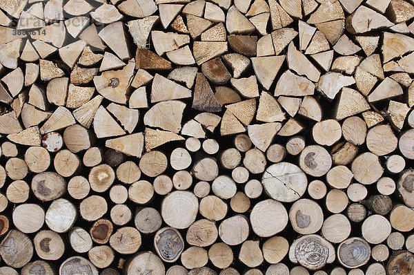 Brennholz  gestapeltes Rundholz  darauf Holzscheite  Stirnseite des Stapels