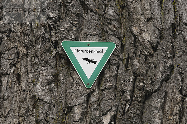 Schild an einer knorrigen Eiche  Naturdenkmal