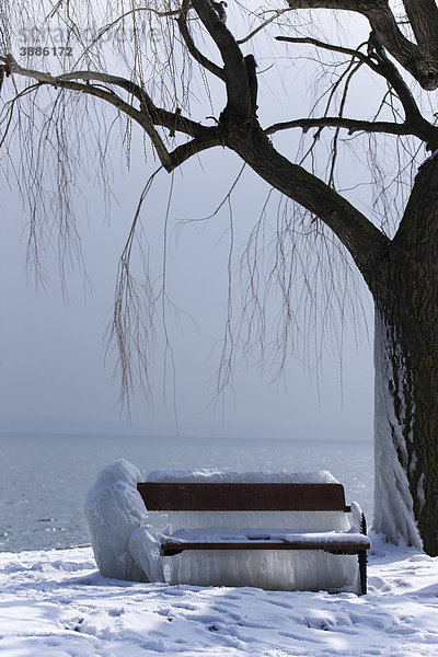 Parkbank mit Eis und Schnee bedeckt