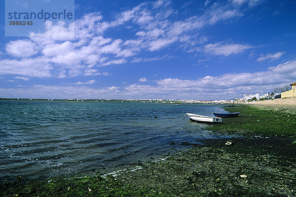 Lagune Ria Formosa  Faro  Algarve  Portugal  Europa