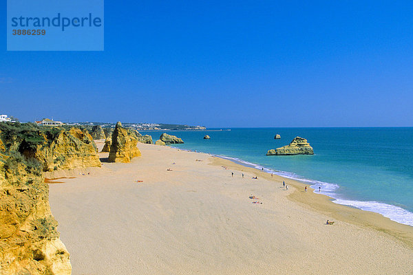 Strand  Praia da Rocha  Portimao  Algarve  Portugal  Europa