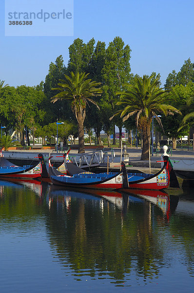 Traditionelle Moliceiro Boote  Canal Central  Aveiro  Beiras oder Beira Region  Portugal  Europa